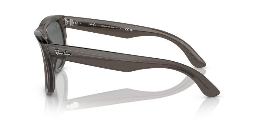 RAYBAN WAYFARER REVERSE