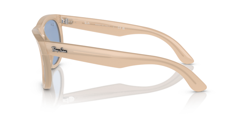 RAYBAN WAYFARER REVERSE